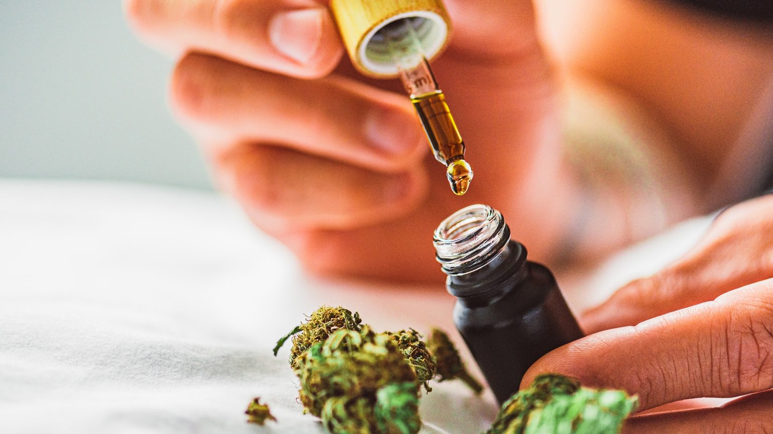 Embrace the Season: Hemp Products That Fight Winter Blues