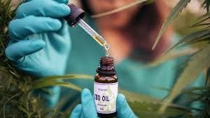 CBD and Cannabis: Benefits, Uses, and What You Need to Know
