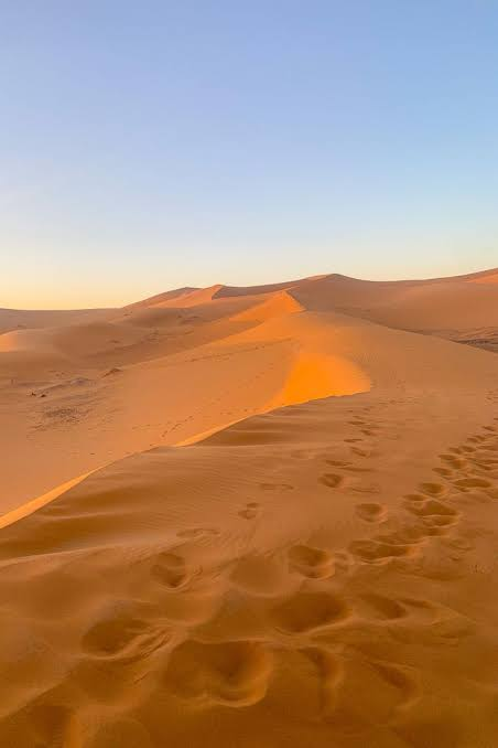 Marrakech Desert Tours: Discover Morocco Beyond the Red City Marrakech Desert Tours: Discover Morocco Beyond the Red City