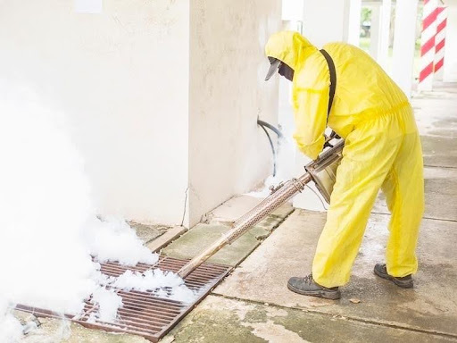 4 Tips for Homes and Businesses to Prevent Pest Infestations