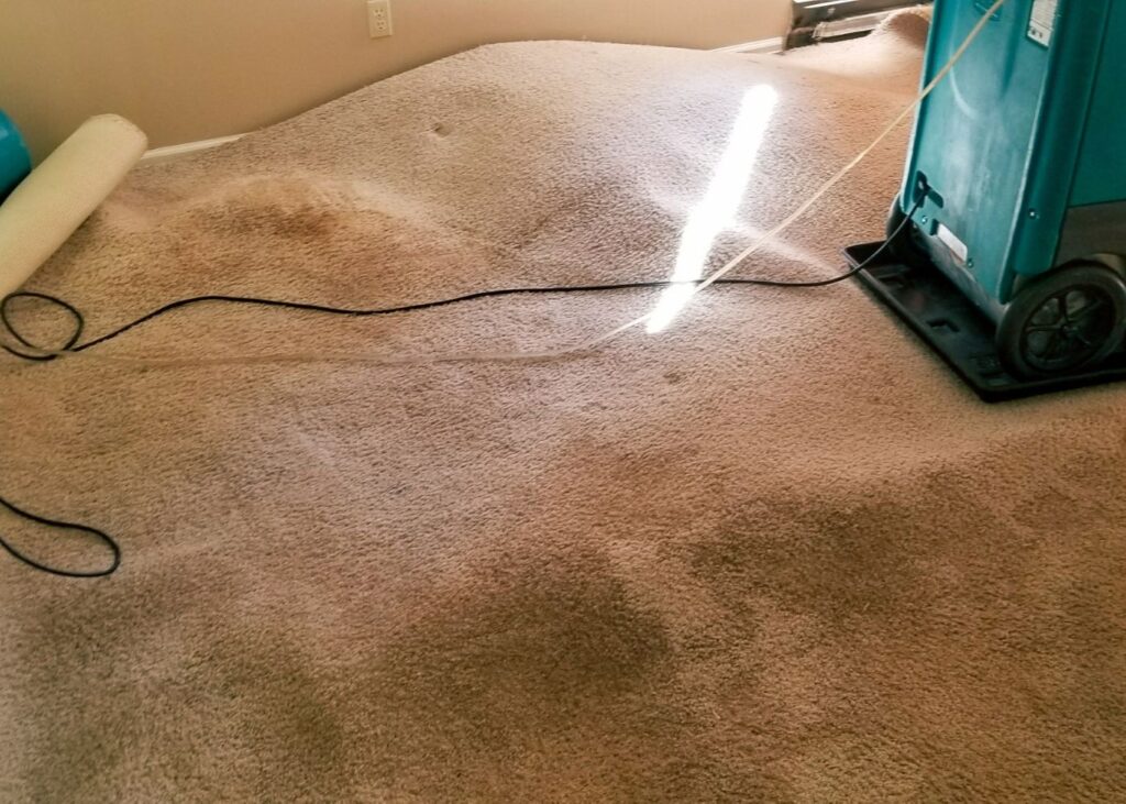 How Professional Water Damage Drying Can Save Your Home